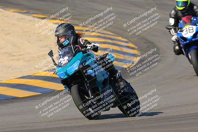 media/Dec-18-2022-SoCal Trackdays (Sun) [[8099a50955]]/Turns 9 and 10 Set 2 (1055am)/